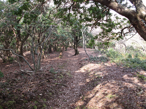 20131124hike (317)